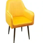Sunny Luxe Chair