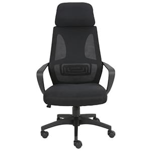 Apex Executive Chair Apex Executive Chair