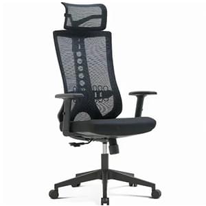 Vision Executive Chair