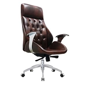 Ergo Human Executive Chair