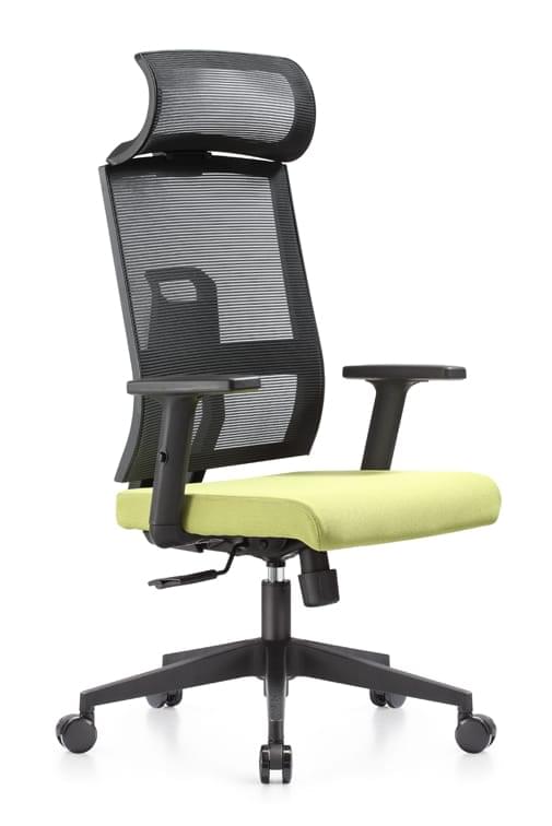 Best High Back Executive Chair with ergonomic lumbar support
